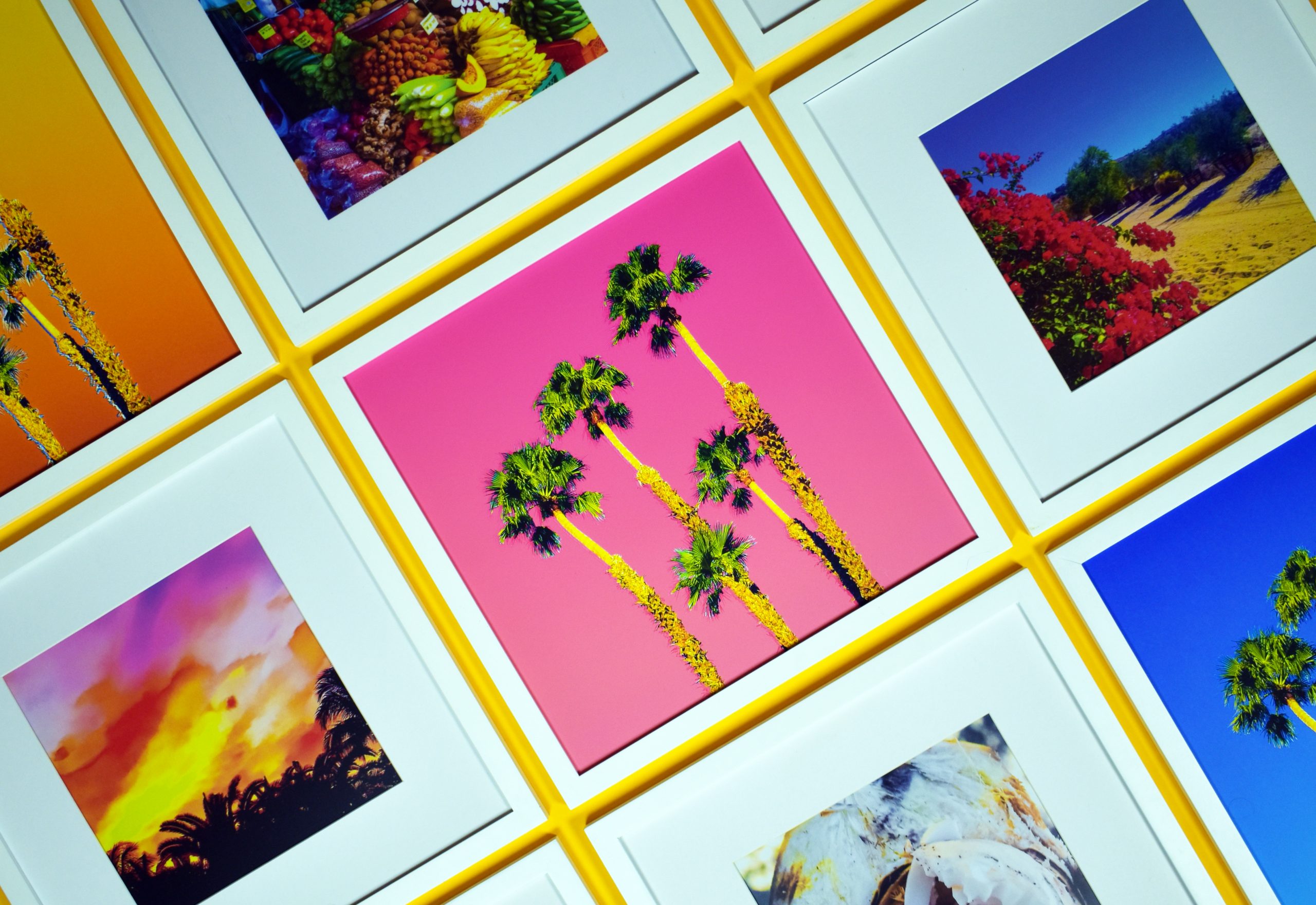 Happy Palm Trees in various colors